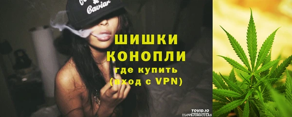 стаф Аркадак