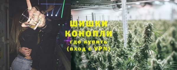 стаф Аркадак