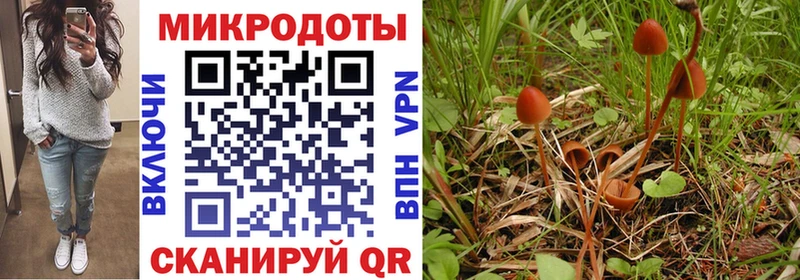 Галлюциногенные грибы мухоморы Ясногорск