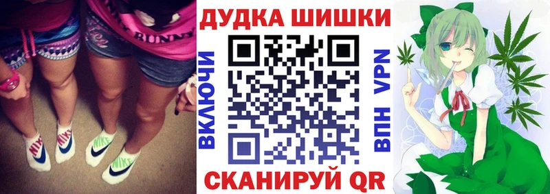 где продают   Ясногорск  Бошки Шишки ГИДРОПОН 